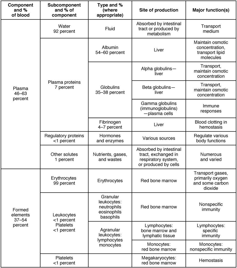 Eritrosit & Hemoglobin
