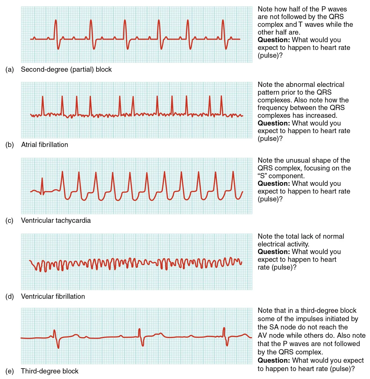 Hemostasis